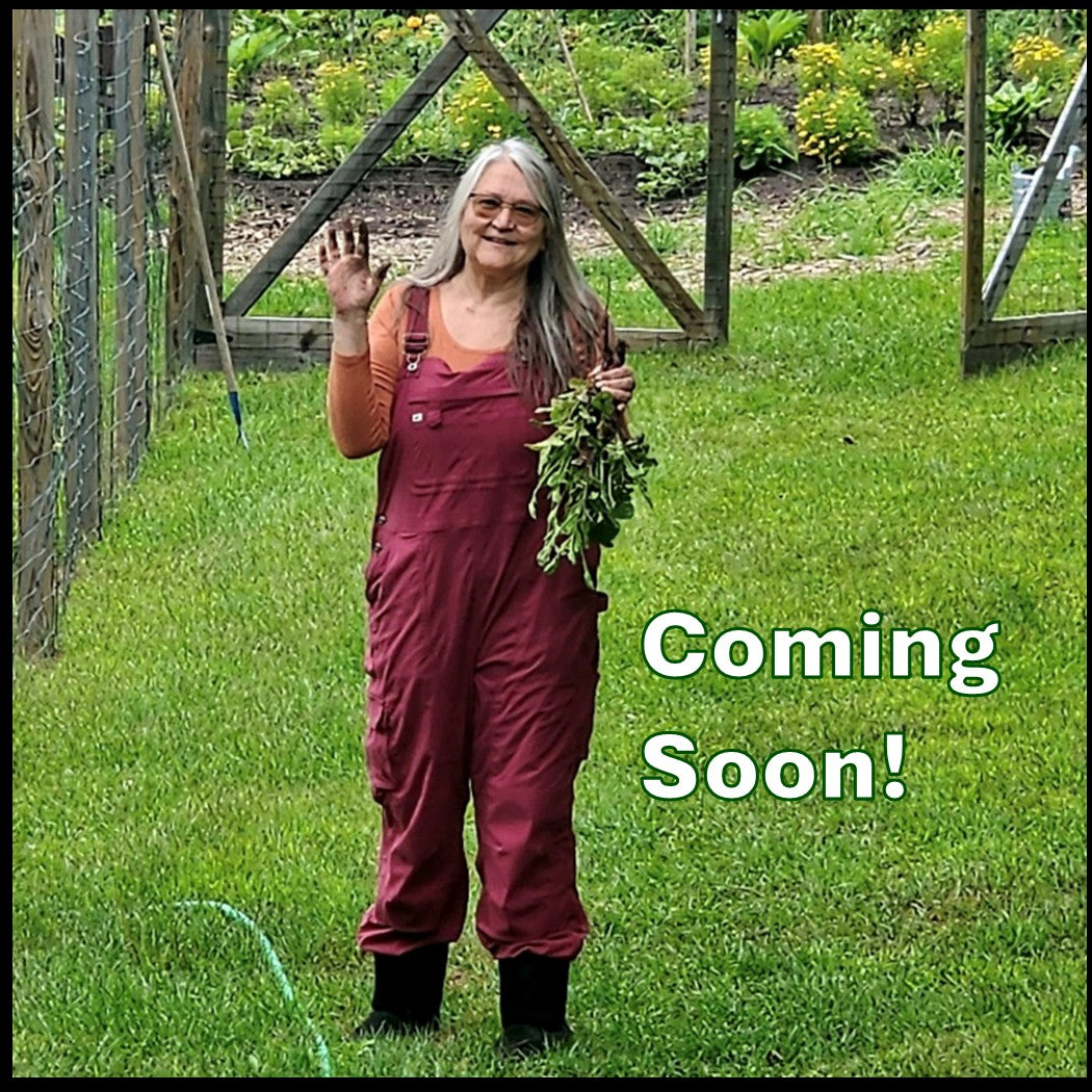 Pennie Opal Plant - Jewelry